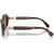 Swarvoski SK6028 Dark Havana Temple