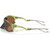 Oakley Plantaris Transparent Fern Prizm Tungsten Temple