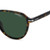 Carrera 342/ Brown Havana Green Lens