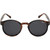 ROC Fly Tortoise Smoke Front