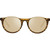 Revo Nolita Amber Horn Champagne Polarised Front