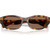 Miu Miu MUA03S Honey Havana Dark Brown Front Folded