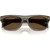 Prada PRB12S Transparent Terra Dark Brown Front Folded