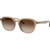 Ray-Ban RB4459D Turtledove Brown Gradient Angle