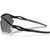 Oakley Radar Plate Matte Black Prizm Black Polarised Temple