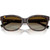 Tiffany & Co. TF4237B Havana Brown Polarised Front Folded