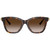 Tiffany & Co. TF4241D Havana Brown Gradient Front