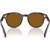 Oliver Peoples Cary Grant OV5413SU DTB True Brown Inner Frame