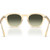 Oliver Peoples Eyles OV5580SU Light Brown G15 Gradient Inner Frame