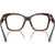 Dolce & Gabbana Glasses DG3419 Havana Clear Inner Frame