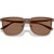 Emporio Armani EA4255D Transparent Brown Dark Brown Front Folded