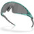 Oakley Ellipse Transparent Pacific Prizm Black Angle