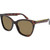 JS Eyewear 5864 Tortoise Brown Polarised Angle