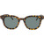 JS Eyewear 7279 Tortoise Green Polarised Front