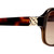 Oroton Ainsley II Chocolate Signature Tort Brown Temple