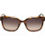 Locello Harmony Tortoiseshell Gold Brown Polarised Front