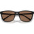 Arnette Cortex AN4291 Black Dark Brown Front Folded