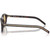 Prada PRB15S Root Tortoise Light Brown Temple