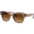 Ray-Ban State Street RB2186 Transparent Light Brown Brown Gradient Angle