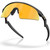 Oakley Youth Resistor Sweep Matte Black Prizm 24k Angle
