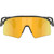 Oakley Stunt Wing Grey Smoke Prizm 24k Front