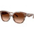 Coach HC8438U Striated Redwood Mape Brown Gradient Angle