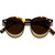 Moscot Miltzen Classic Havana Cosmitan Brown Glass Front