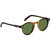Moscot Miltzen Tobacco Calibar Green Glass Angle