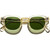 Moscot Lemtosh Flesh Calibar Green Glass Front