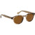 Moscot Lemtosh Brown Ash Cosmitan Brown Glass Angle