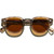 Moscot Lemtosh Brown Ash Cosmitan Brown Glass Front
