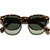 Moscot Lemtosh Tortoise G15 Glass Front
