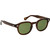 Moscot Lemtosh Brown Calibar Green Glass Angle