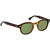 Moscot Lemtosh Tobacco Calibar Green Glass Angle