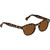 Moscot Lemtosh Tortoise Cosmitan Brown Glass Angle