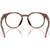 Oakley Glasses HSTN OX8139 Transparent Mahogany Inner Frame