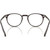Oliver Peoples Glasses Riley-R OV5004 Kuri Brown Clear Inner Frame