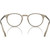 Oliver Peoples Glasses Riley-R OV5004 Sencha Clear Inner Frame