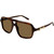 Gucci GG2052S Havana Brown Angle