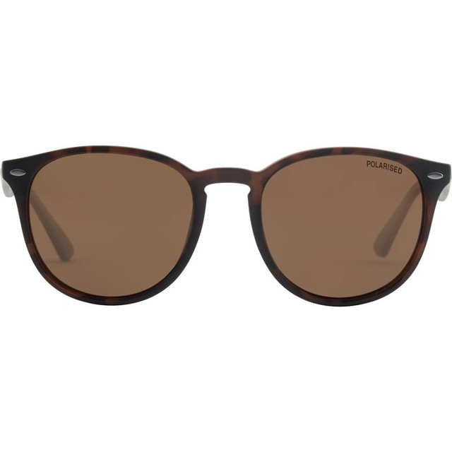 Racoon - Satin Tort/Brown Polarised Lenses