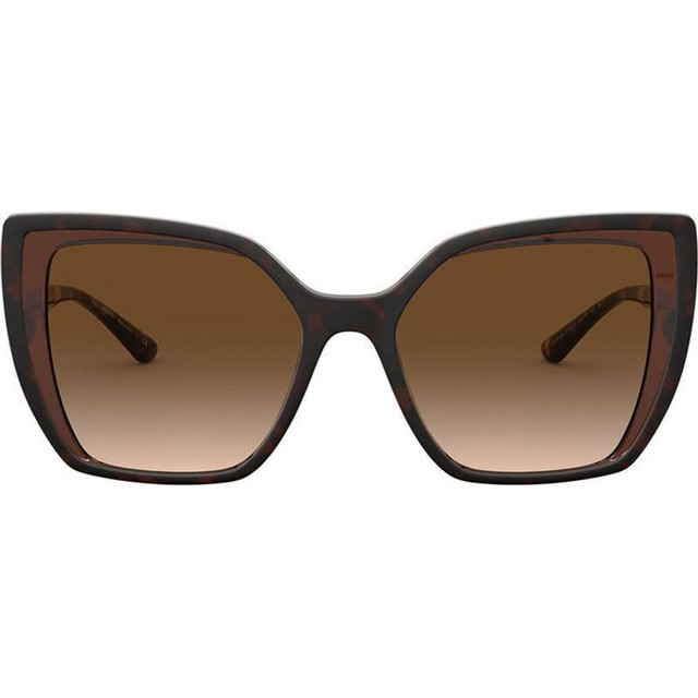 Dolce & Gabbana DG6138 - Havana on Transparent Brown/Brown Gradient Lenses