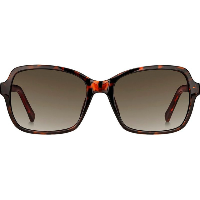 3095/S - Dark Havana/Brown Gradient Lenses