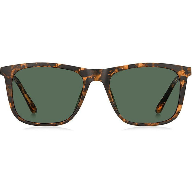 3100/S - Matte Havana/Green Lenses