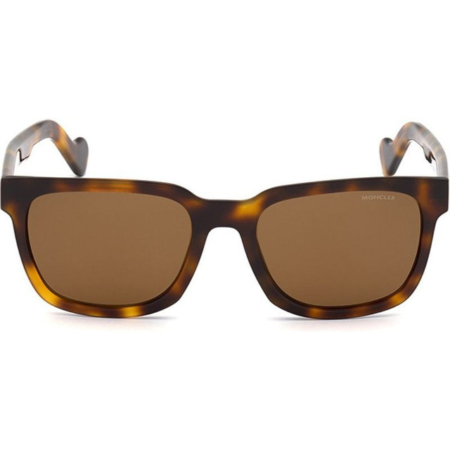 ML0174 - Dark Havana/Brown Polarised Lenses