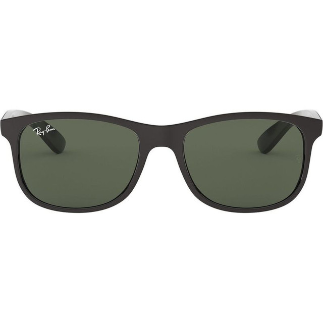 Ray-Ban Andy RB4202 - Matte Black/Dark Green Lenses