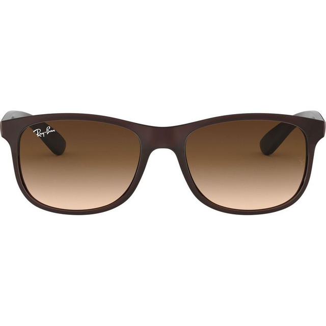 Ray-Ban Andy RB4202 - Matte Brown/Brown Gradient Lenses