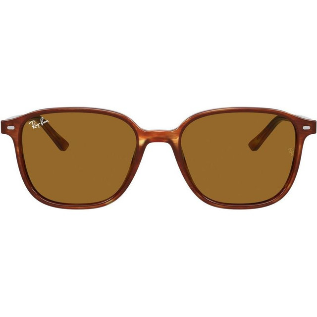 Leonard RB2193 - Striped Havana/Brown Lenses 51 Eye Size