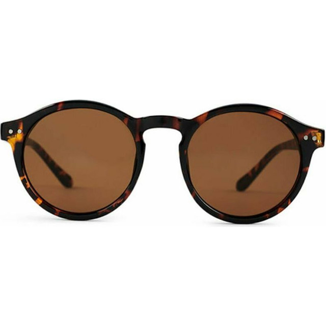 Hudson - Matte Turtle/Brown Lenses