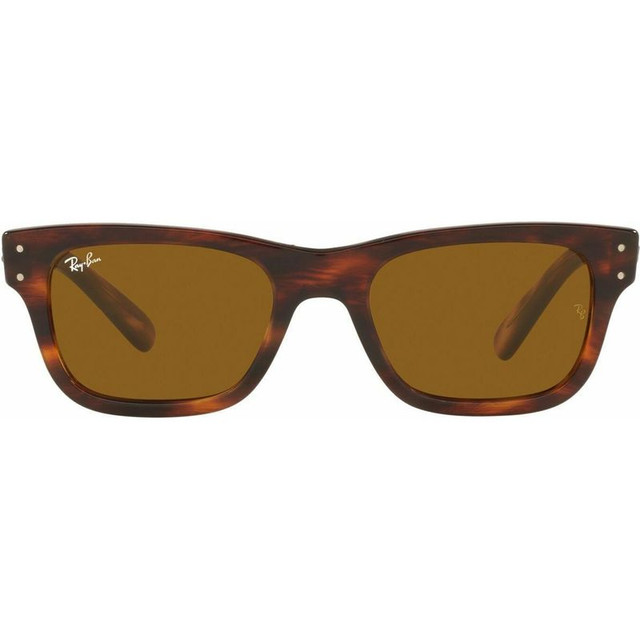 Ray-Ban Mr Burbank RB2283 - Striped Havana/Brown Glass Lenses 55 Eye Size