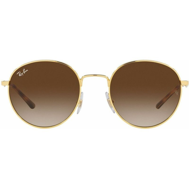 Ray-Ban RB3681 - Arista/Brown Gradient Lenses